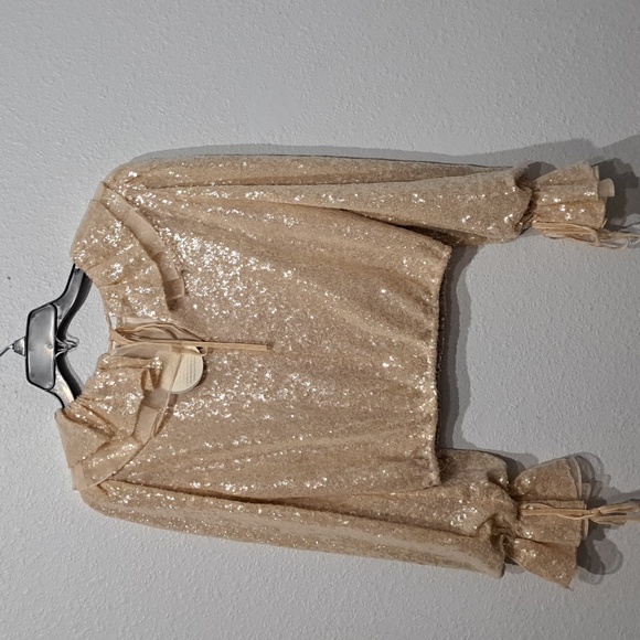 Antonio Melani x Nicola Bathie Champagne Gold Sequin Shelby Blouse - Picture 9 of 14